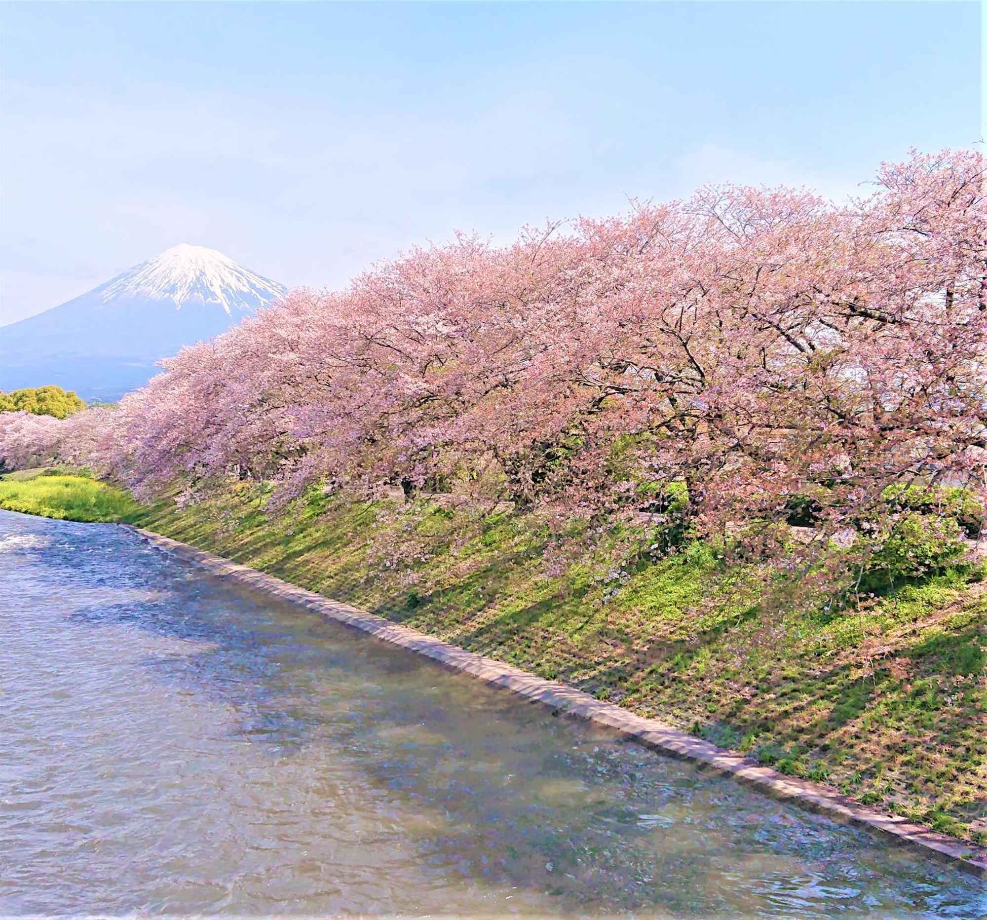 Hotel Associa Shizuoka Eksteriør billede The river in spring